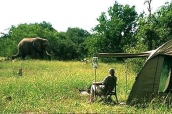 chobe-camping0.jpg